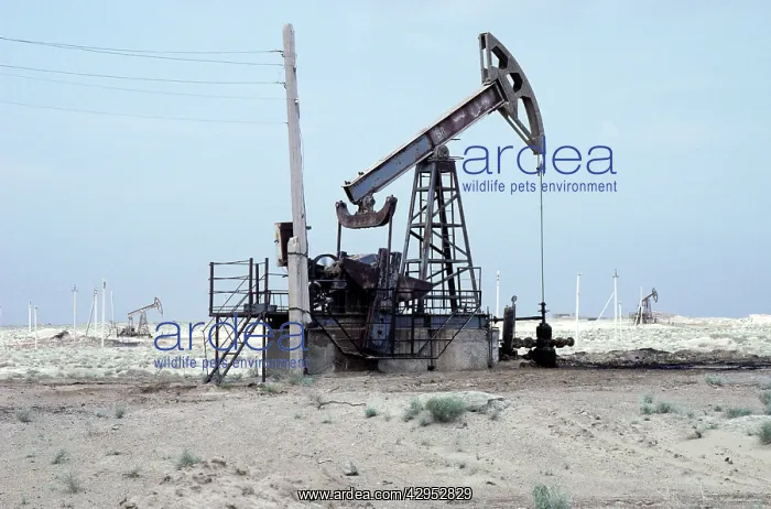 : A typical oil-pump - oil-well in a desert : A typical oil-pump - oil-well in a desert