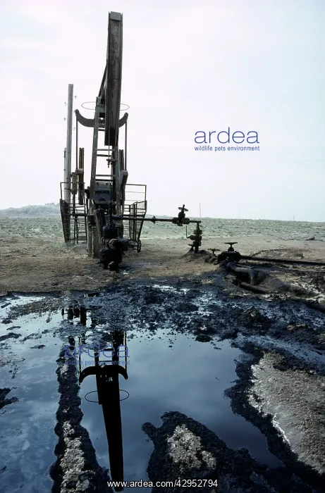 : A typical oil-pump on an oil-well - with a puddle : A typical oil-pump on an oil-well - with a puddle