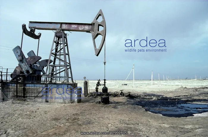 : A typical oil-pump on an oil-well with a puddle : A typical oil-pump on an oil-well with a puddle