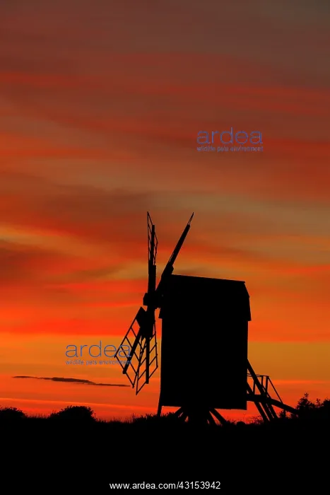 : Typical mill from o?land : Typical mill from o?land