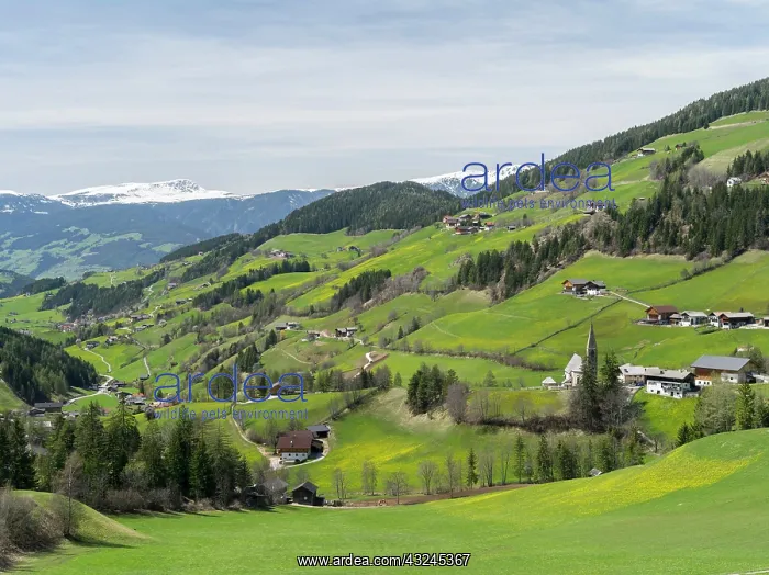 : Typical old Mountain Farms in South Tyrol : Typical old Mountain Farms in South Tyrol