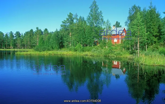 : Typical red wooden house beside an idyllic lake
