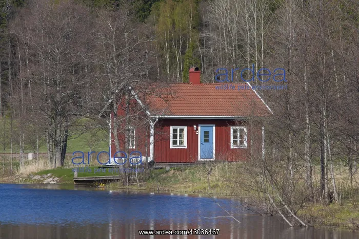 : Typical swedish hut at a river - Vaermland, Sweden : Typical swedish hut at a river - Vaermland, Sweden