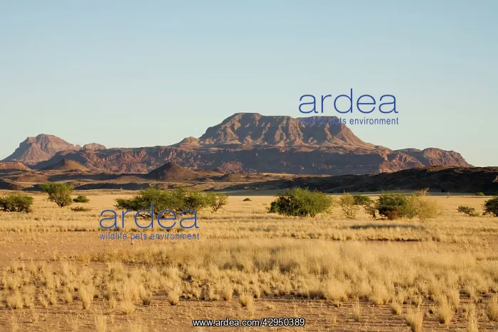 : Typical view of a flat top mountain of North Western Namibia : Typical view of a flat top mountain of North Western Namibia