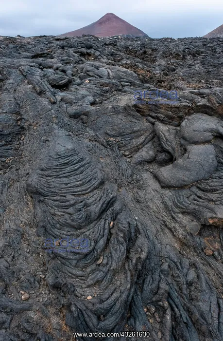 : Typical volcanic landscape near La Restinga, Pahoehoe : Typical volcanic landscape near La Restinga, Pahoehoe