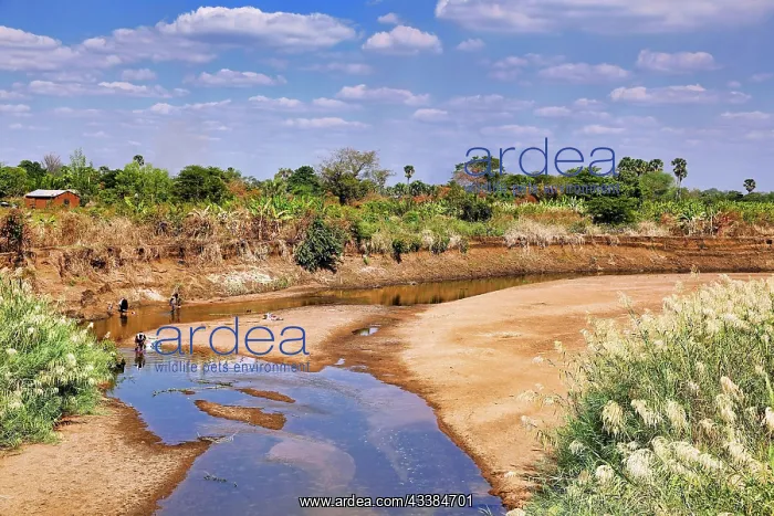 : Typische Flusslandschaft in Sambia : Typische Flusslandschaft in Sambia