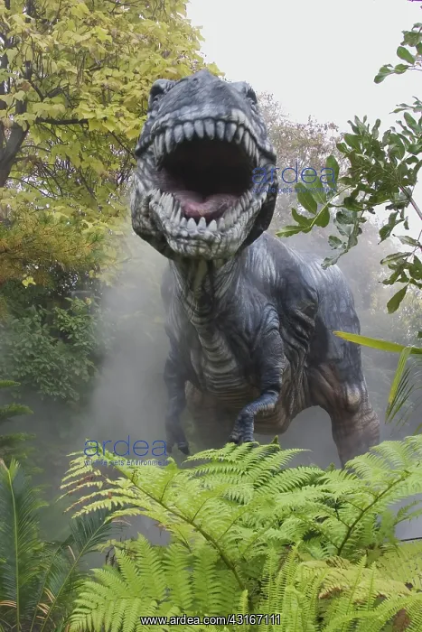 : Tyrannosaurus : Tyrannosaurus