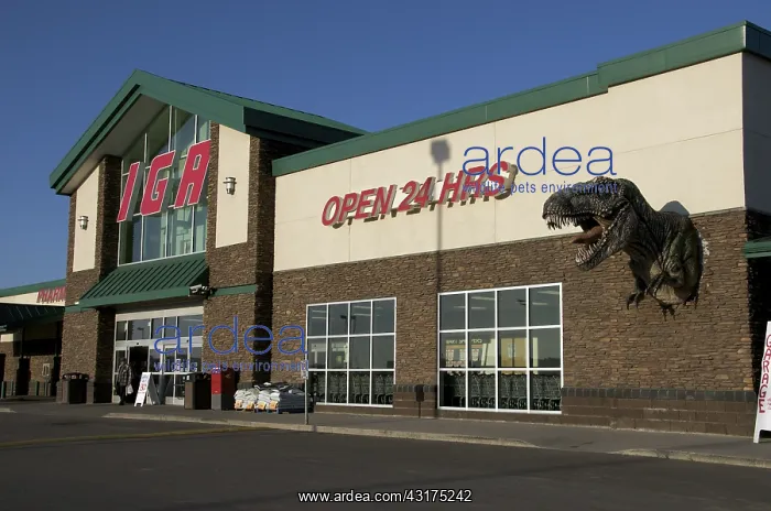 : Tyrannosaurus in a Grocery Store : Tyrannosaurus in a Grocery Store
