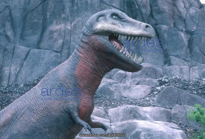 : Tyrannosaurus rex : Tyrannosaurus rex