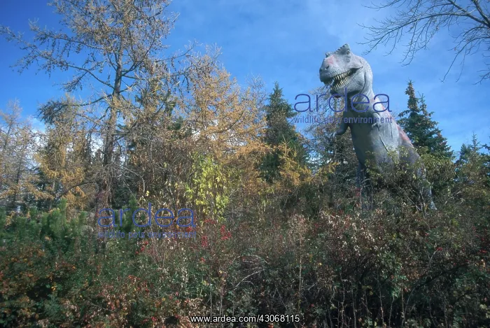 : Tyrannosaurus rex : Tyrannosaurus rex