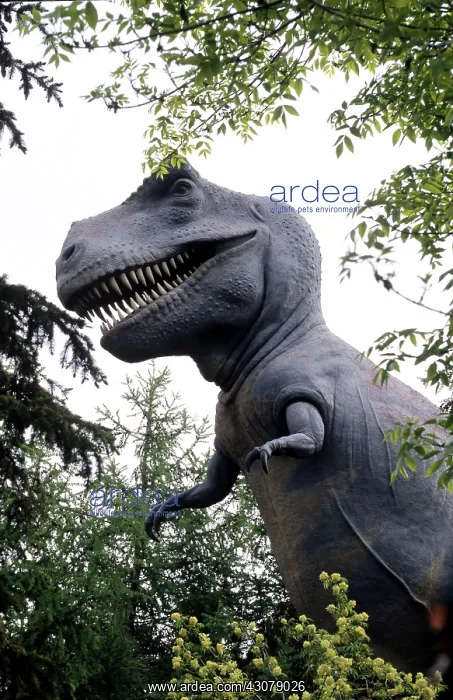 : Tyrannosaurus Rex : Tyrannosaurus Rex