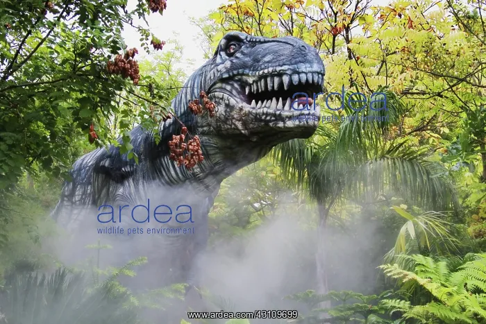 : Tyrannosaurus Rex : Tyrannosaurus Rex