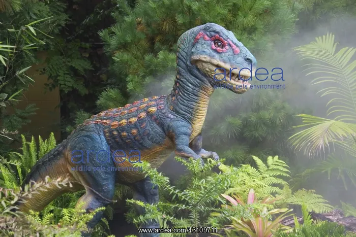 : Tyrannosaurus Rex : Tyrannosaurus Rex