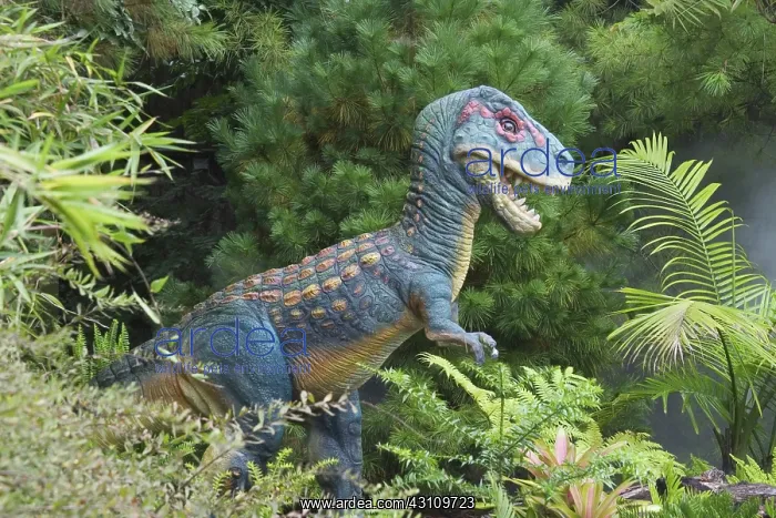 : Tyrannosaurus Rex : Tyrannosaurus Rex
