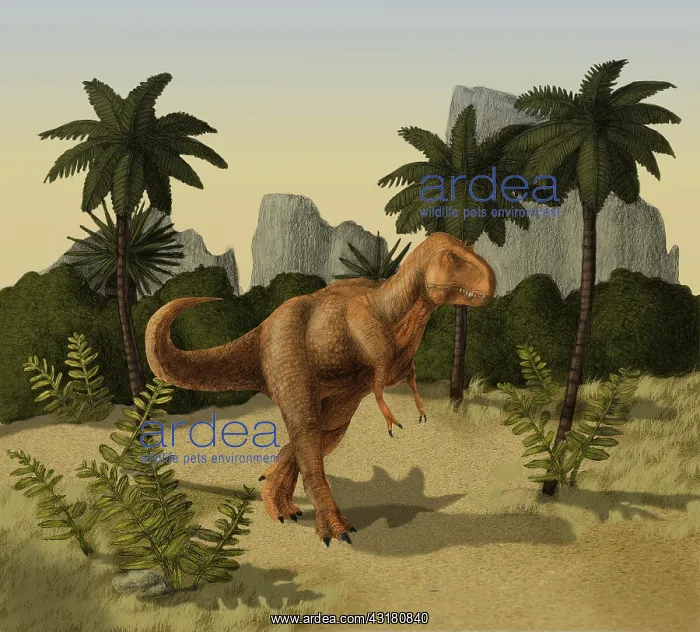 : Tyrannosaurus rex : Tyrannosaurus rex