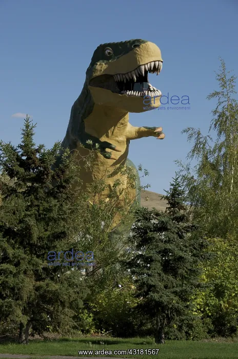 : Tyrannosaurus rex : Tyrannosaurus rex