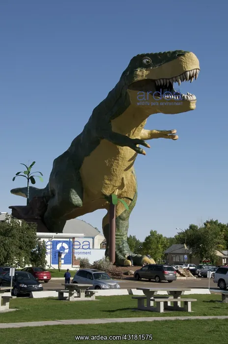 : Tyrannosaurus rex : Tyrannosaurus rex