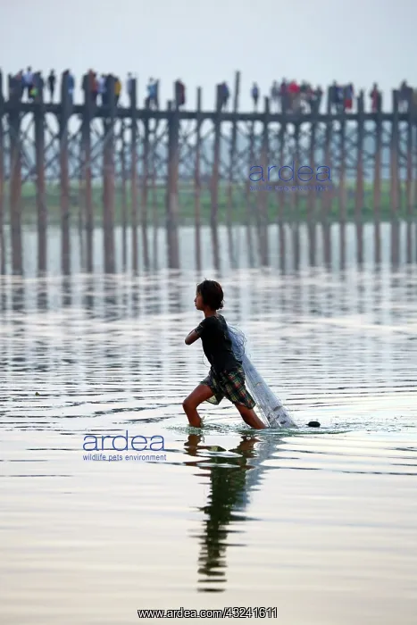 : The U Bein Bridge with a fisherman walking across the Ta : The U Bein Bridge with a fisherman walking across the Ta