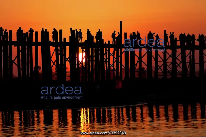 : U Bein bridge at Taungmyo Lake near Amarapura in : U Bein bridge at Taungmyo Lake near Amarapura in