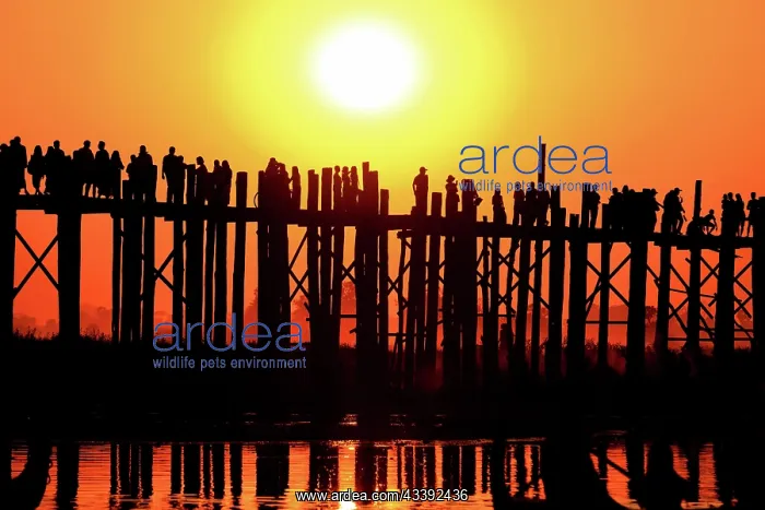 : U Bein bridge at Taungmyo Lake near Amarapura in : U Bein bridge at Taungmyo Lake near Amarapura in