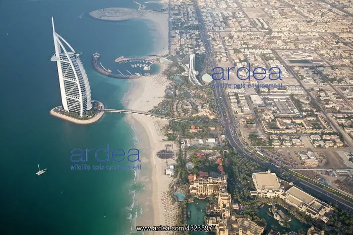 : UAE, Dubai. Aerial image of Burj al Arab : UAE, Dubai. Aerial image of Burj al Arab