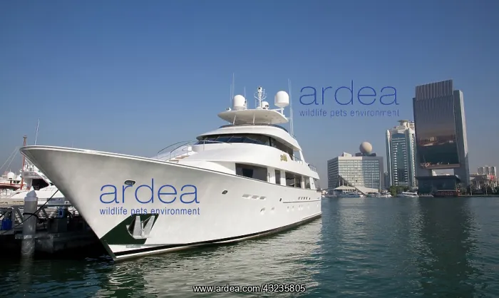: UAE, Dubai, Dubai Creek. Luxury yacht docked : UAE, Dubai, Dubai Creek. Luxury yacht docked