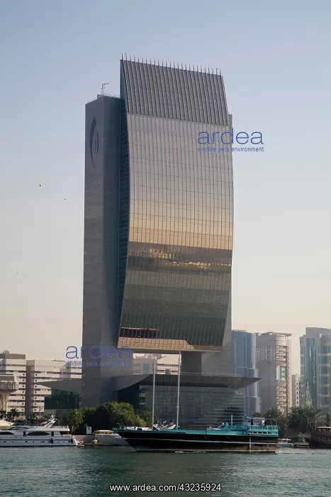 : UAE, Dubai, Dubai Creek. National Bank of : UAE, Dubai, Dubai Creek. National Bank of