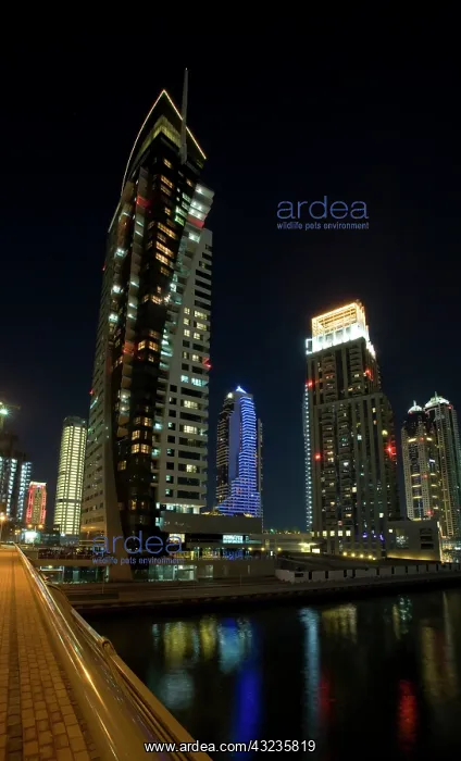 : UAE, Dubai, Marina. Roshana Tower and other : UAE, Dubai, Marina. Roshana Tower and other