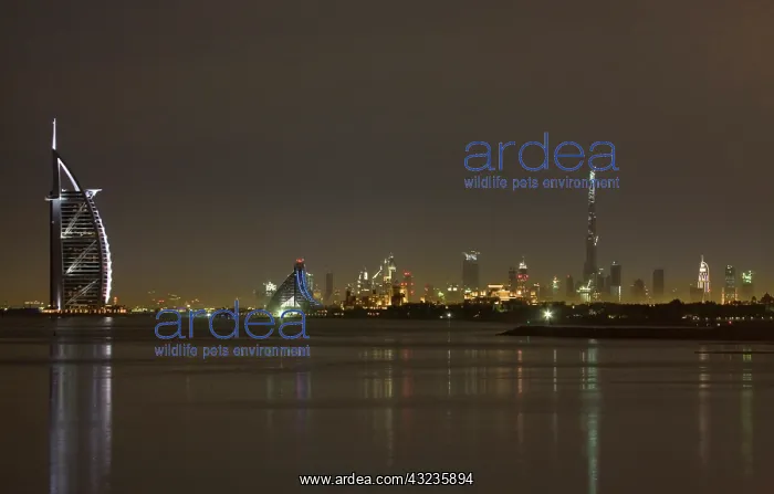 : UAE, Dubai. Skyline with Burj al Arab Hotel : UAE, Dubai. Skyline with Burj al Arab Hotel