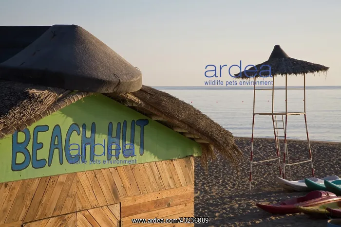 : UAE, Fujairah. Beach Hut sign on hut with : UAE, Fujairah. Beach Hut sign on hut with