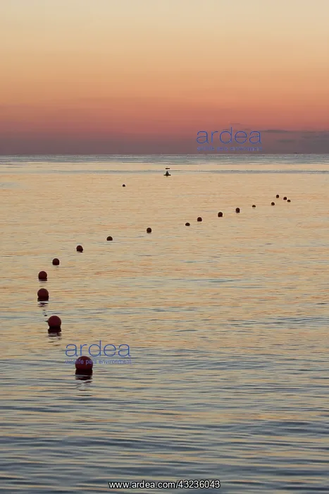 : UAE, Fujairah. Sunrise on a trail of marker : UAE, Fujairah. Sunrise on a trail of marker