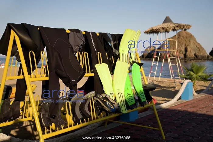 : UAE, Fujairah. Wet suits and flippers on : UAE, Fujairah. Wet suits and flippers on