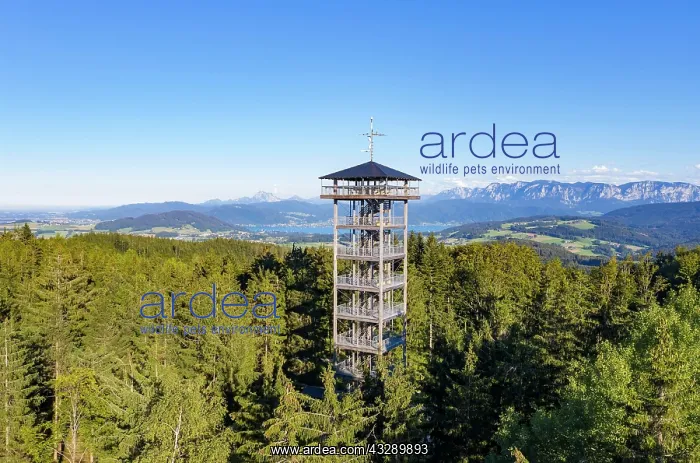 : UAV photo, Lichtenbeg observation tower with view : UAV photo, Lichtenbeg observation tower with view