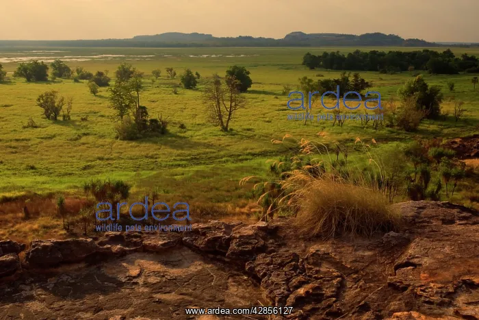 : Ubirr view - view from Ubirr rock towards the Nardab : Ubirr view - view from Ubirr rock towards the Nardab