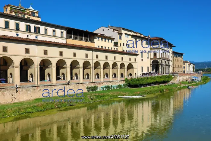 : The Uffizi Gallery and the River Arno, Florence, Italy : The Uffizi Gallery and the River Arno, Florence, Italy