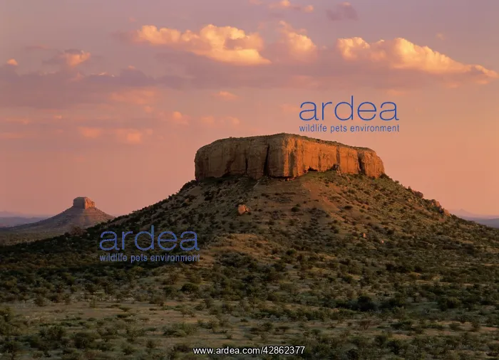 : Ugab terraces - rock plateaus and savannah in Ugab : Ugab terraces - rock plateaus and savannah in Ugab