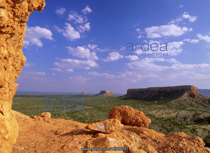 : Ugab terraces - view towards rock plateaus from : Ugab terraces - view towards rock plateaus from