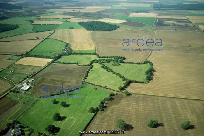 : UK - aerial view : UK - aerial view