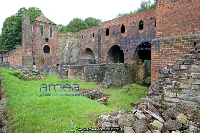 : UK - Blists Hill blast furnaces : UK - Blists Hill blast furnaces