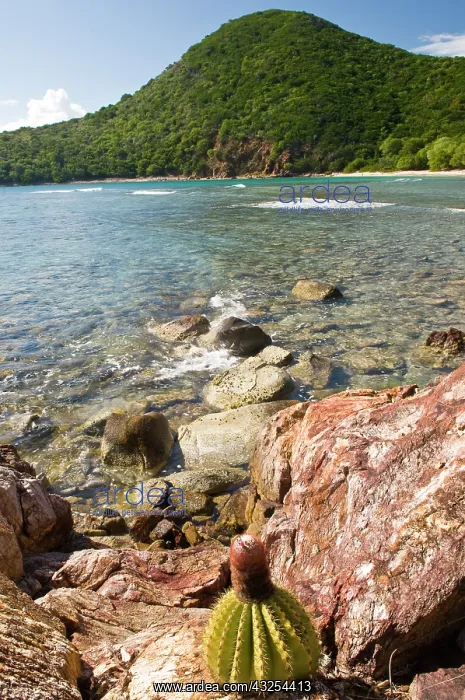 : UK, British Virgin Islands, Peter Island : UK, British Virgin Islands, Peter Island