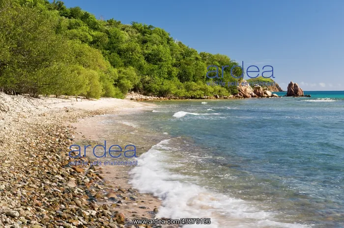  : UK, British Virgin Islands, Peter Island