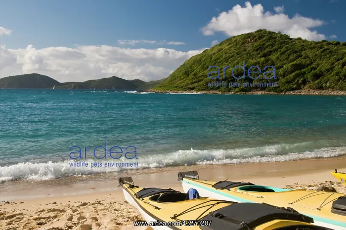 : UK, British Virgin Islands, Peter Island : UK, British Virgin Islands, Peter Island
