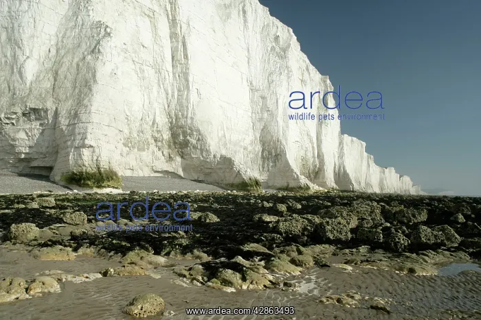 : UK - chalk cliffs coastline with white cliffs : UK - chalk cliffs coastline with white cliffs