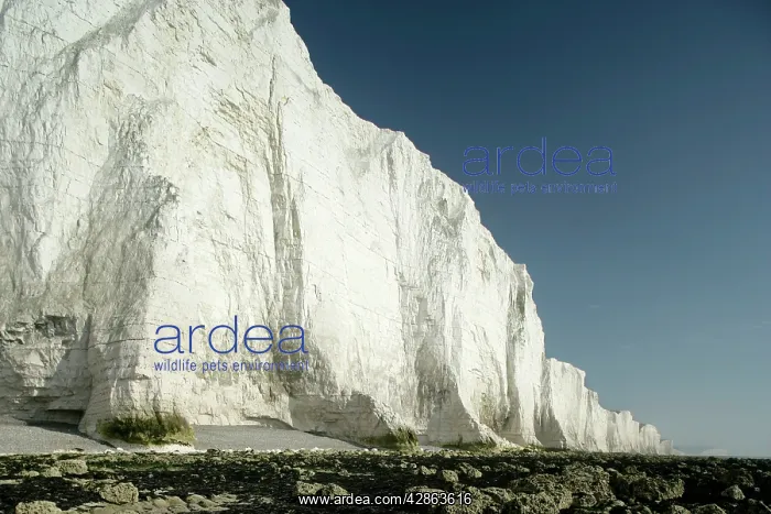 : UK - chalk cliffs, coastline with white cliffs : UK - chalk cliffs, coastline with white cliffs