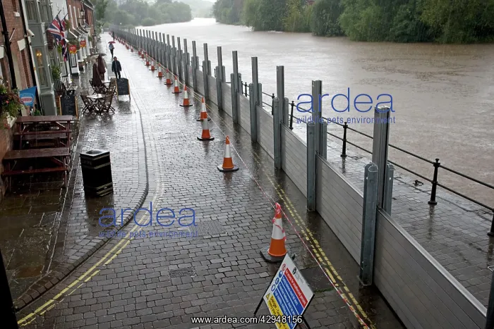 : UK - Flood barriers protecting riverside houses : UK - Flood barriers protecting riverside houses