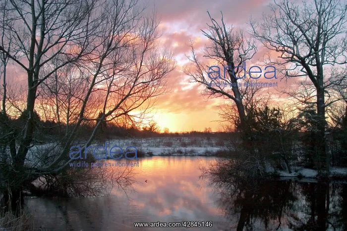 : UK - sunrise over a lake on a cold winter morning in January : UK - sunrise over a lake on a cold winter morning in January