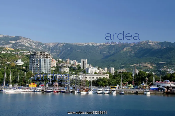 : Ukraine, Yalta. Black Sea harbor view of : Ukraine, Yalta. Black Sea harbor view of