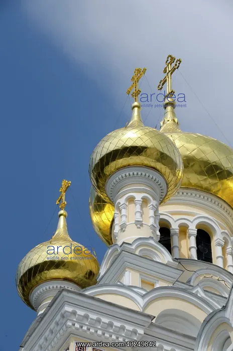 : Ukraine, Yalta. Exterior of Saint Alexander : Ukraine, Yalta. Exterior of Saint Alexander
