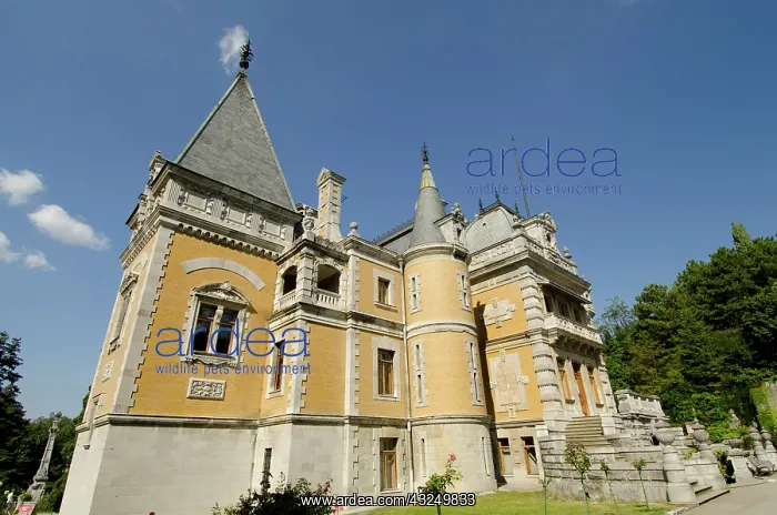 : Ukraine, Yalta. Massandra Palace, summer : Ukraine, Yalta. Massandra Palace, summer