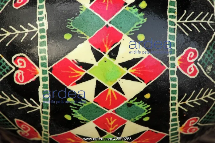  : Ukrainian Painted Easter Egg - close-up
